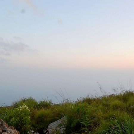 Olive Hill Top Hotel Haputale Dış mekan fotoğraf