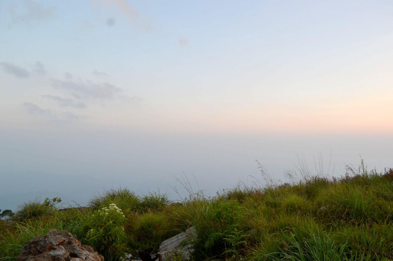 Olive Hill Top Hotel Haputale Dış mekan fotoğraf