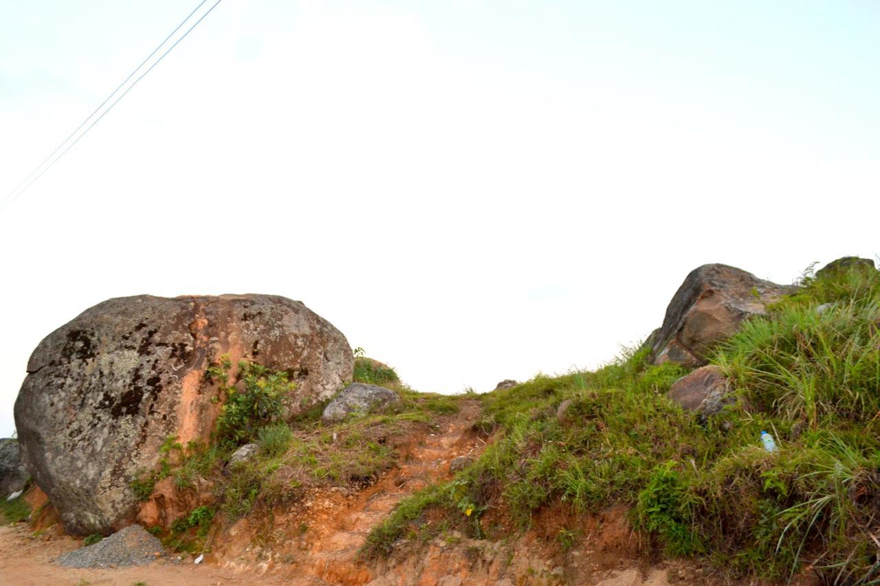 Olive Hill Top Hotel Haputale Dış mekan fotoğraf