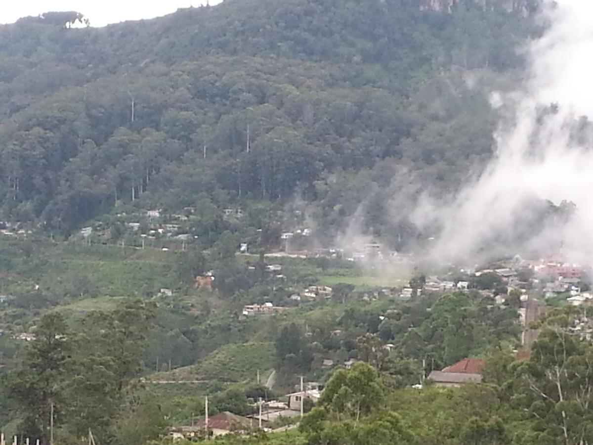 Olive Hill Top Hotel Haputale Dış mekan fotoğraf